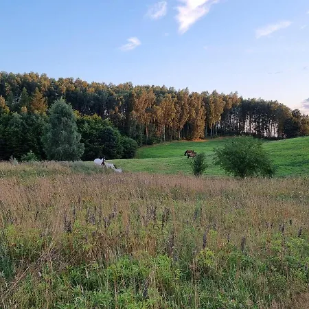 Kaszubski Kamperek * Skorzewo (Koscierzyna)